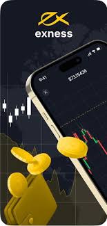 Secure Your Trading Journey with Exness Member Login
