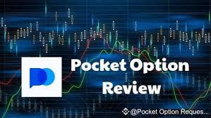 The Ultimate Guide to Pocket Option Platform 14