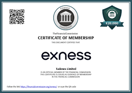 Understanding Exness Minimum Withdrawal A Guide for Traders Understanding Exness Minimum Withdrawal A Guide for Traders